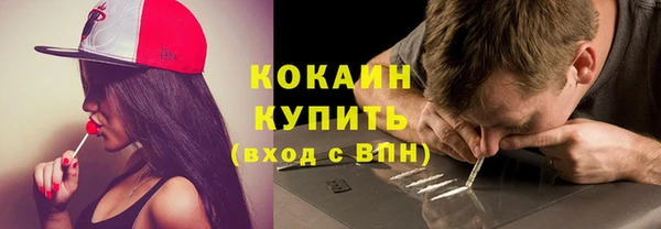 соль ск Алексин