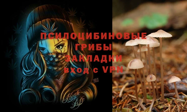 скорость Алзамай